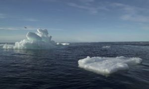 Microplastics were found in Arctic
