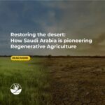 Restoring the Desert: How Saudi Arabia Is Pioneering Regenerative Agriculture