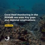 Coral Reef Monitoring in the ROPME Sea Area: Key Gaps and Regional Implications