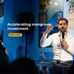 The Mangrove Breakthrough Accelerates Plans to Unlock Large-ScaleInvestment
