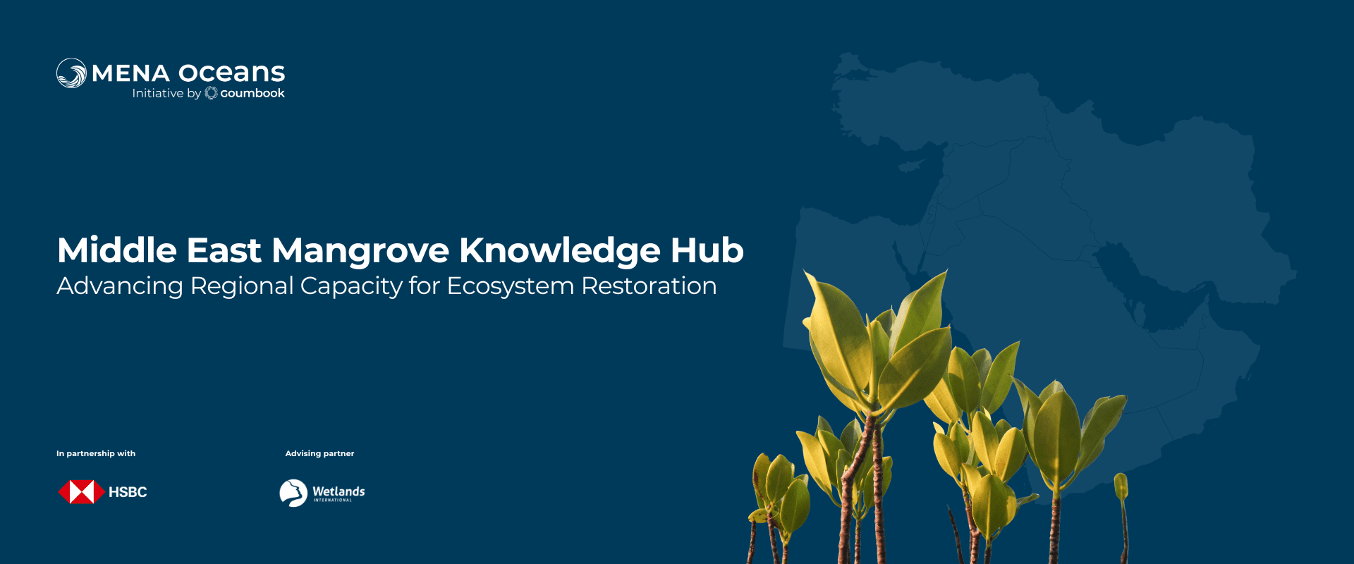 The Middle East Mangrove Knowledge Hub unites regional partners to apply best practices for conservation, restoration and resilient coastal management.