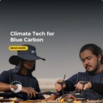 Climate Tech for Blue Carbon: Scaling Mangrove Restoration in Abu Dhabi, UAE