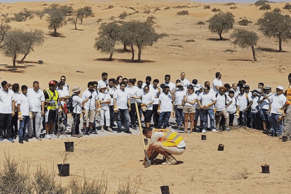 Trees, seeds and more; regenerate nature's ecosystem and offset your carbon