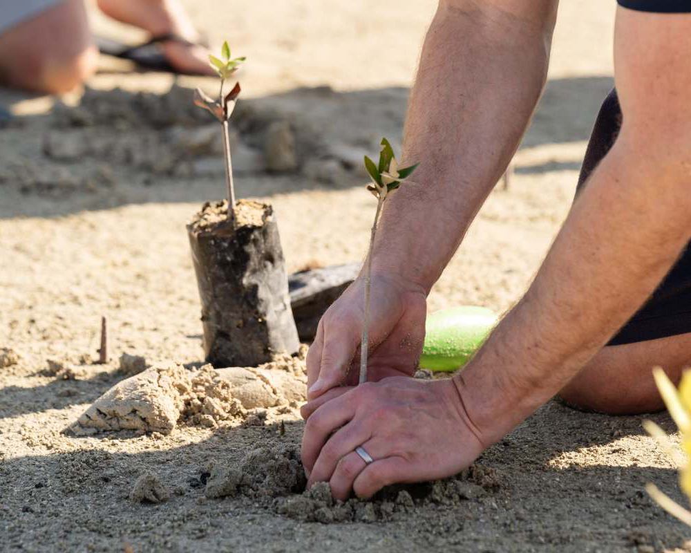 Goumbook is a social enterprise dedicated to accelerating Sustainability and Climate Action in the MENA Region since 2009.