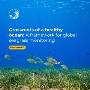 Grassroots of a Healthy Ocean: A Framework for Global Seagrass Monitoring