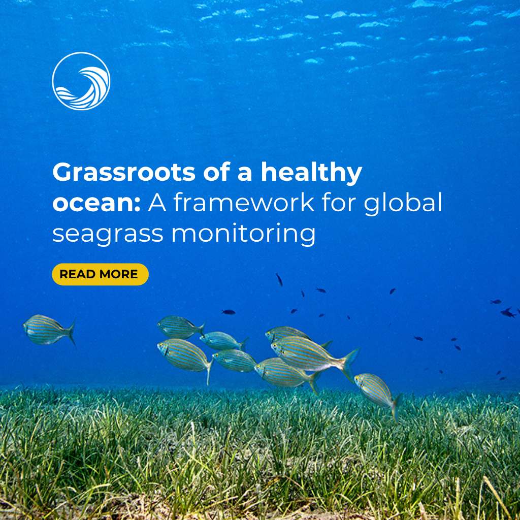 Grassroots of a Healthy Ocean: A Framework for Global Seagrass Monitoring