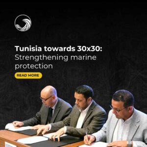 Tunisia Towards 30x30: Expanding Marine Protected Areas - Goumbook news
