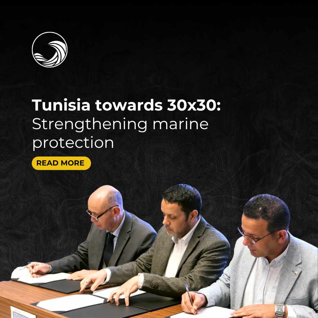 Tunisia Towards 30x30: Expanding Marine Protected Areas - Goumbook news