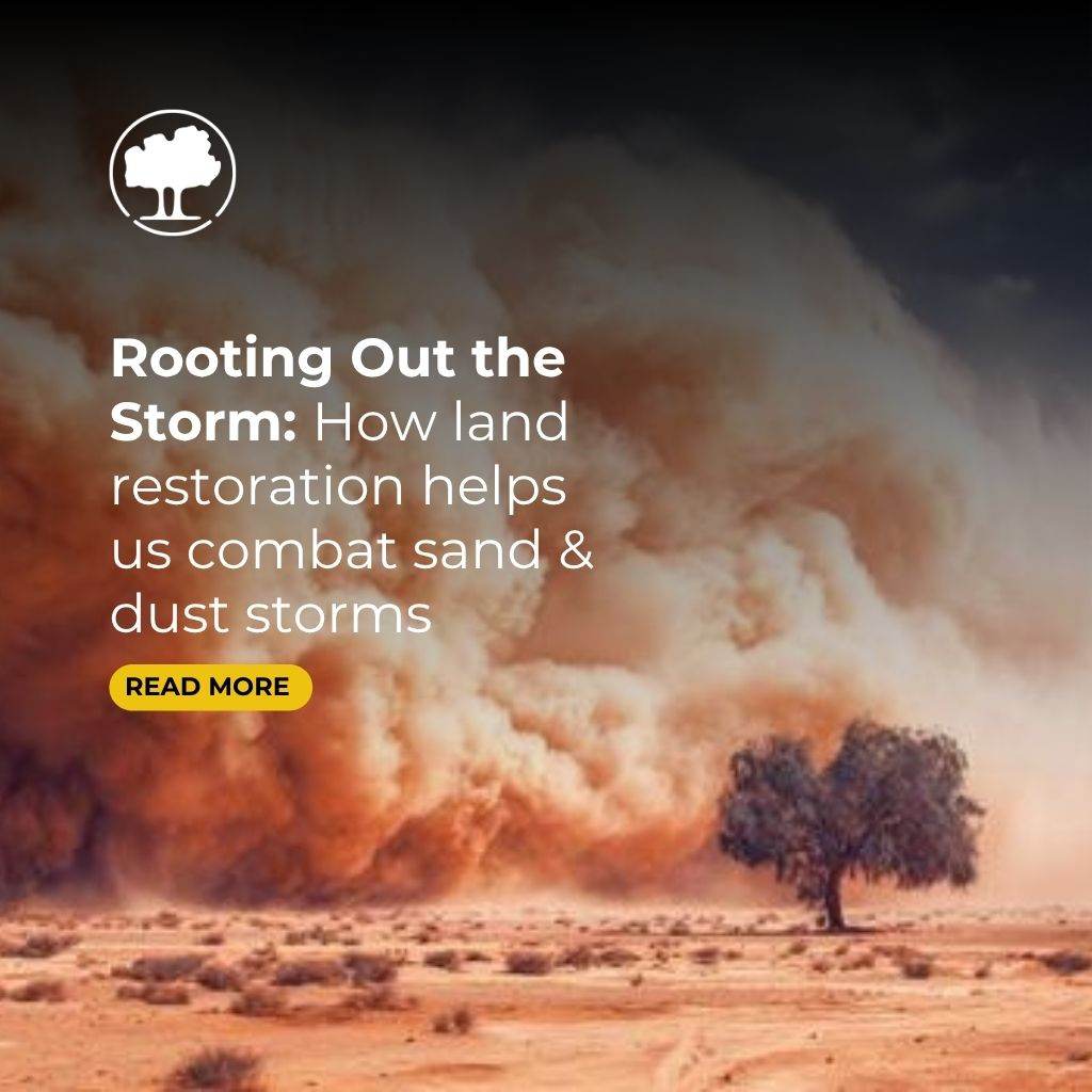 How Land Restoration Helps Us Combat Sand and Dust Storms
